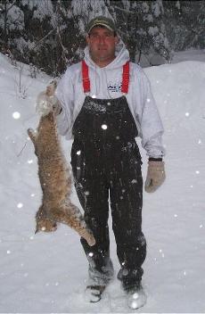 Bobcat